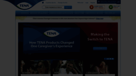 What Tena.us website looked like in 2022 (2 years ago)