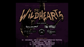 What Thewildhearts.com website looked like in 2022 (1 year ago)