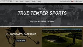 What Truetempersports.com website looked like in 2022 (1 year ago)