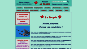 What Toupie.org website looked like in 2022 (1 year ago)