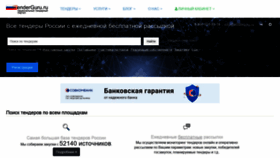 What Tenderguru.ru website looked like in 2022 (1 year ago)