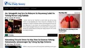 What Thedailysentry.net website looked like in 2022 (1 year ago)