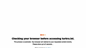 What Turkru.lol website looked like in 2022 (1 year ago)