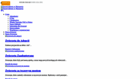 What Toz.pl website looked like in 2022 (3 years ago)