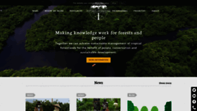 What Tropenbos.org website looked like in 2022 (2 years ago)