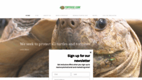 What Tortoise.com website looked like in 2022 (1 year ago)
