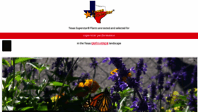 What Texassuperstar.com website looked like in 2022 (1 year ago)