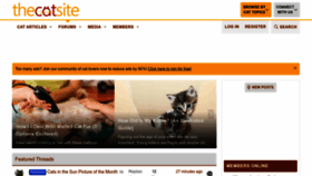 What Thecatsite.com website looked like in 2022 (2 years ago)