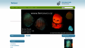 What Tercovci.cz website looked like in 2022 (1 year ago)