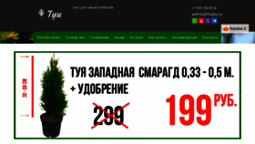 What Thujas.ru website looked like in 2022 (1 year ago)
