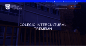 What Trememn.cl website looked like in 2022 (1 year ago)