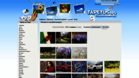 What Tapetus.pl website looked like in 2022 (1 year ago)