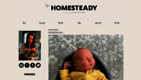 What Thehomesteady.com website looked like in 2022 (1 year ago)