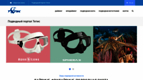 What Tetis.ru website looked like in 2022 (1 year ago)