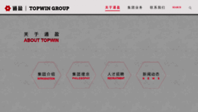 What Topwingroup.cn website looked like in 2022 (1 year ago)