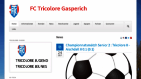 What Tricolore.lu website looked like in 2022 (1 year ago)