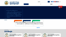 What Tax.gov.kh website looked like in 2022 (1 year ago)