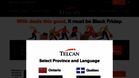 What Telcan.com website looked like in 2022 (1 year ago)
