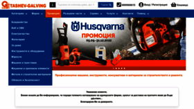 What Tashev-galving.com website looked like in 2022 (1 year ago)