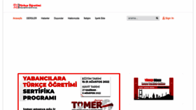 What Turkceogretimi.com website looked like in 2022 (1 year ago)