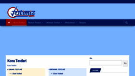What Testimiz.com website looked like in 2022 (1 year ago)
