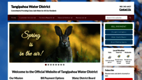 What Tangiwater.com website looked like in 2022 (1 year ago)
