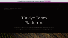 What Turkiyetarimplatformu.com website looked like in 2022 (1 year ago)