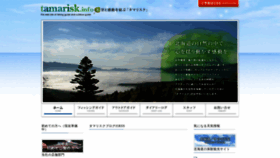 What Tamarisk.info website looked like in 2023 (1 year ago)