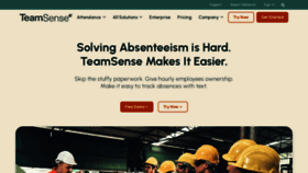 What Teamsense.com website looked like in 2023 (1 year ago)
