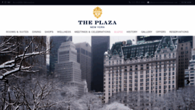 What Theplazany.com website looked like in 2023 (1 year ago)
