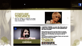 What Terredecheveux.fr website looked like in 2023 (1 year ago)