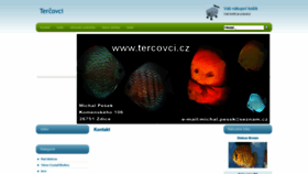What Tercovci.cz website looked like in 2023 (1 year ago)