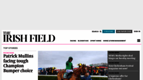 What Theirishfield.ie website looked like in 2023 (1 year ago)