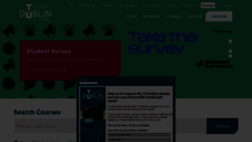 What Tudublin.ie website looked like in 2023 (3 years ago)