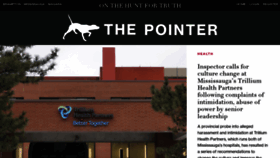 What Thepointer.com website looked like in 2023 (1 year ago)