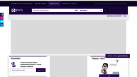 What Translatica.pl website looked like in 2023 (2 years ago)