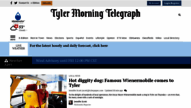 What Tylerpaper.com website looked like in 2023 (1 year ago)