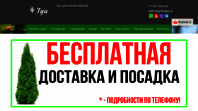 What Thujas.ru website looked like in 2023 (1 year ago)