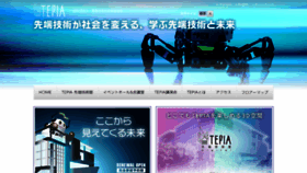 What Tepia.jp website looked like in 2023 (1 year ago)