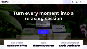 What Therme.ro website looked like in 2023 (1 year ago)