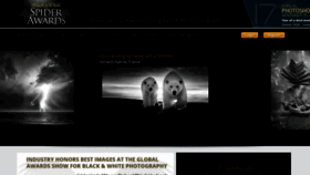 What Thespiderawards.com website looked like in 2023 (1 year ago)