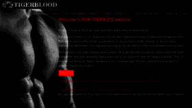 What Tigerblood.com website looked like in 2023 (1 year ago)
