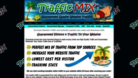 What Trafficmix.net website looked like in 2023 (1 year ago)