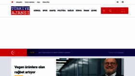 What Turkiyeajansi.com website looked like in 2023 (1 year ago)