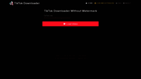What Tiktokdownloader.com website looked like in 2023 (This year)