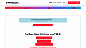 What Tikfollowers.com website looked like in 2023 (This year)