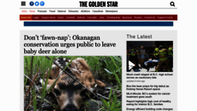 What Thegoldenstar.net website looked like in 2023 (This year)
