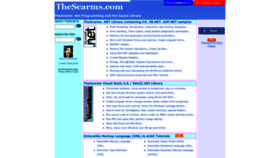 What Thescarms.com website looked like in 2023 (This year)