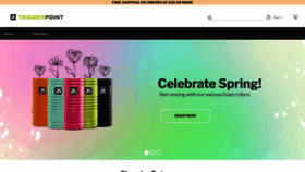 What Tptherapy.com website looked like in 2023 (This year)