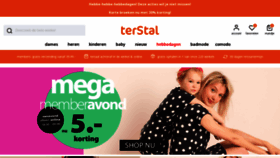 What Terstal.nl website looked like in 2023 (This year)